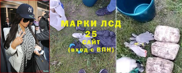 PSILOCYBIN Абинск