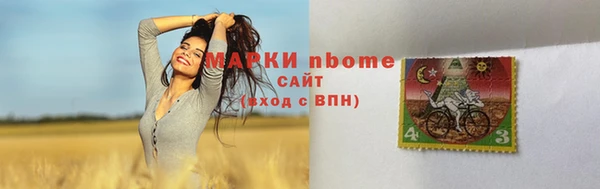 прущий лед Абаза