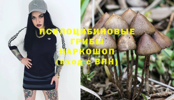 крисы Абдулино