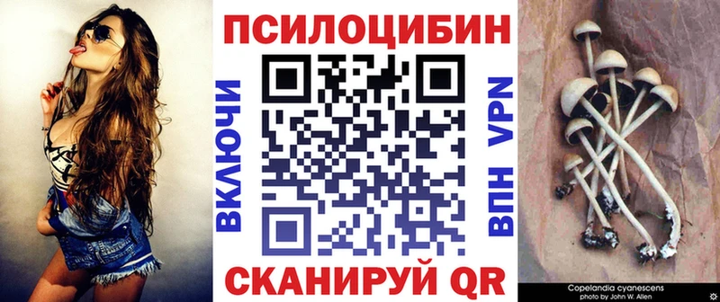 Галлюциногенные грибы ЛСД  где купить   OMG ONION  Новоалтайск 
