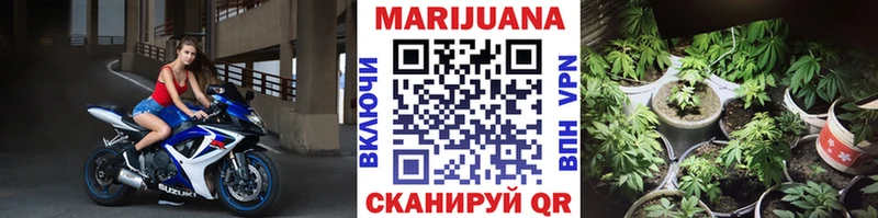 где найти наркотики  Новоалтайск  Бошки марихуана Ganja 